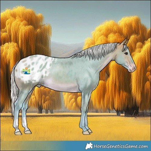 Horse Color:Watercolor Silver Buckskin Appaloosa