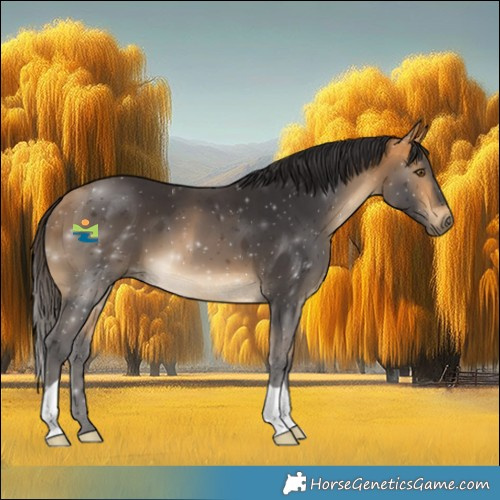 Horse Color:Buckskin 