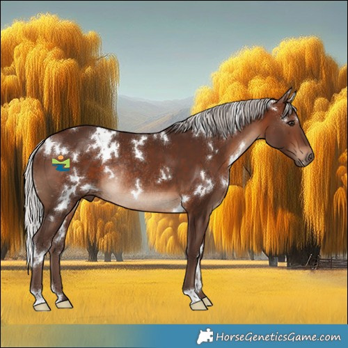 Horse Color:White Spotted Silver Brown Rabicano 