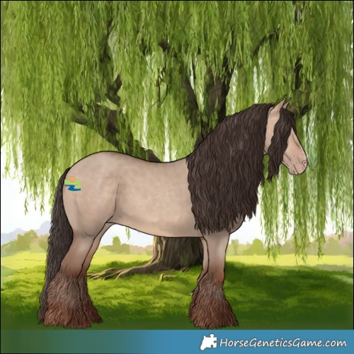 Horse Color:Amber Champagne Dun Sabino