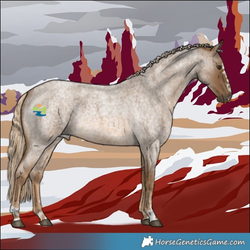 Horse Color:Chocolate Palomino Roan Rabicano 