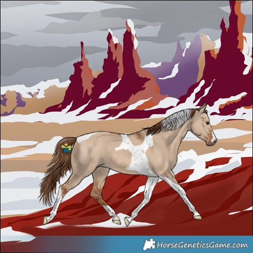 Horse Color:Red Dun Tobiano 