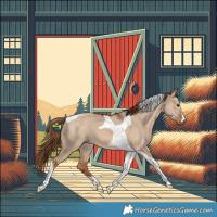 Horse Color:Red Dun Tobiano