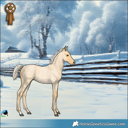 Horse Color:Palomino Roan 
