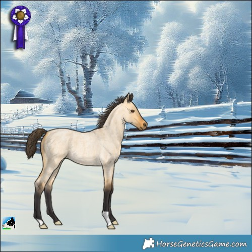 Horse Color:Buckskin Roan Dun 
