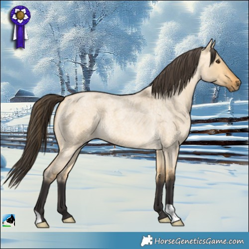 Horse Color:Buckskin Roan Dun 