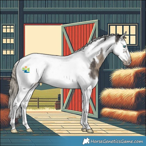 Horse Color:Silver Smoky Black Splash Tobiano Frame Rabicano 