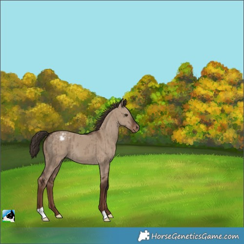 Horse Color:Liver Red Dun Varnish Brindle 