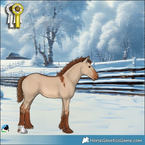 Horse Color:Red Dun 