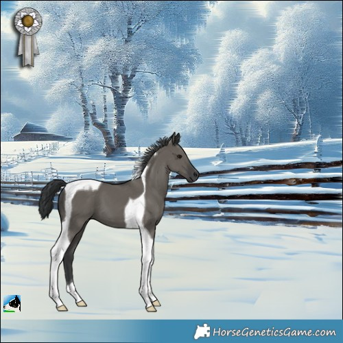 Horse Color:Grullo Tobiano