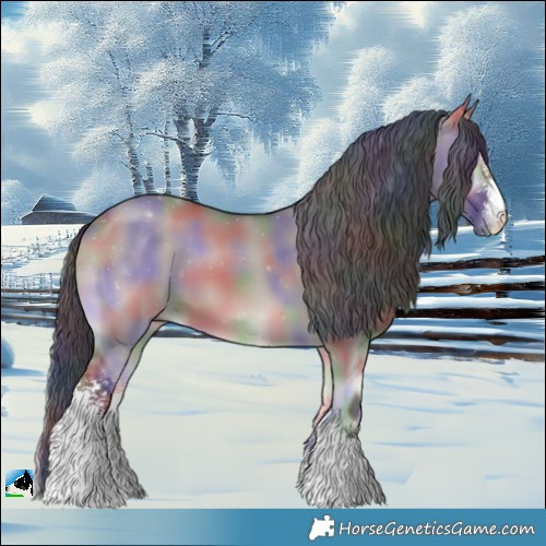 Horse Color:Nacre Grullo Onyx Sabino 