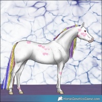 Horse Color:Painted Watercolor White Spotted Black Splash Tobiano Rabicano