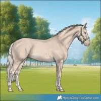 Horse Color:Cremello 