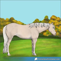 Horse Color:Cremello 