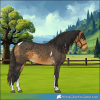 Horse Color:Buckskin Tobiano 