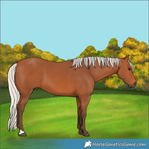 Horse Color:Silver Bay