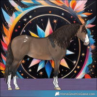 Horse Color:Bay Dun Varnish 
