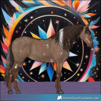 Horse Color:White Spotted Liver Red Dun