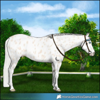 Horse Color:Silver Smoky Creme Near Leopard 