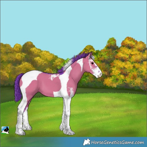 Horse Color:Watercolor Grullo Sabino Tobiano