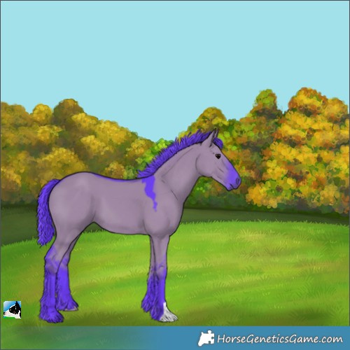 Horse Color:Watercolor Grullo 