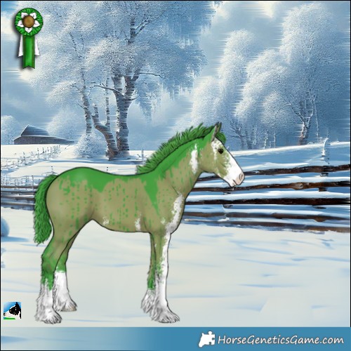 Horse Color:Watercolor Grullo Sabino Brindle 