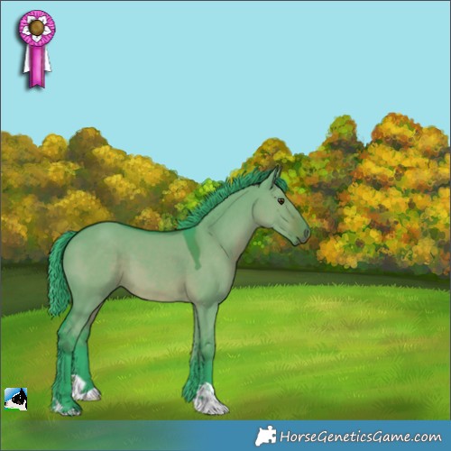 Horse Color:Watercolor Liver Red Dun 