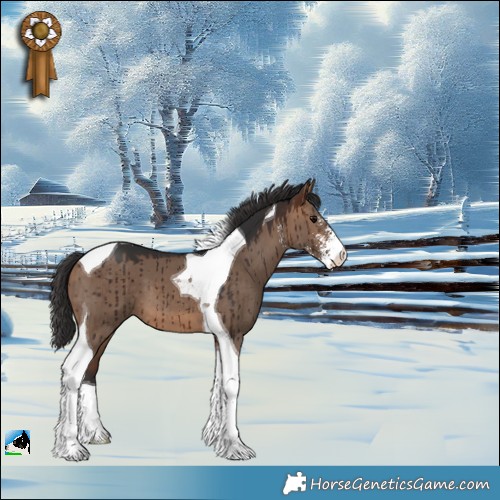 Horse Color:Brown Dun Sabino Tobiano Brindle 