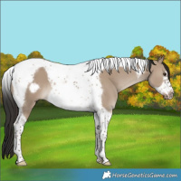 Horse Color:Liver Red Dun Tobiano Frame