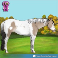 Horse Color:Liver Red Dun Tobiano Frame