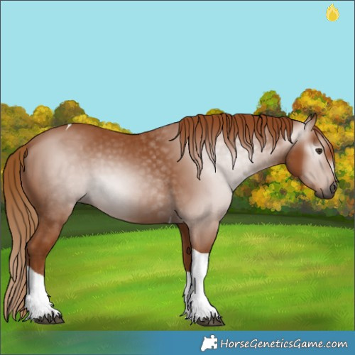 Horse Color:Gray Chestnut Tobiano 
