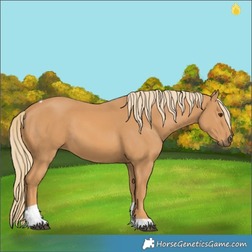 Horse Color:Chestnut Tobiano 