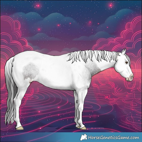 Horse Color:Brown Splash Tobiano 