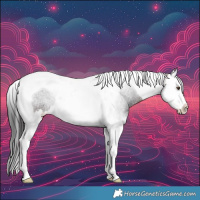 Horse Color:Brown Splash Tobiano 