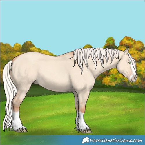 Horse Color:Silver Amber Champagne Dun Splash