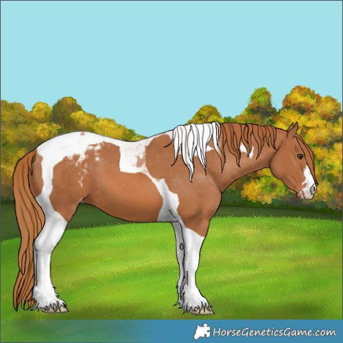 Horse Color:Chestnut Tobiano Varnish 