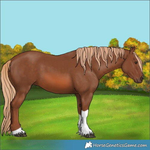 Horse Color:Chestnut Tobiano 