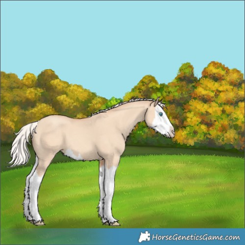 Horse Color:Silver Amber Champagne Dun Splash