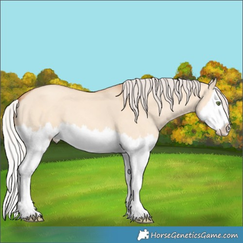 Horse Color:Silver Amber Champagne Dun Splash