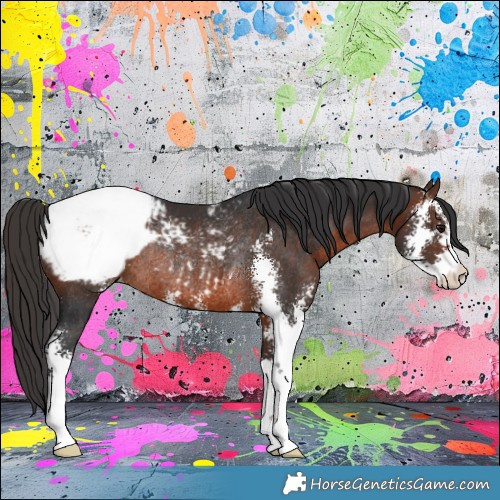 Horse Color:Brown Sabino Snowcap Rabicano 