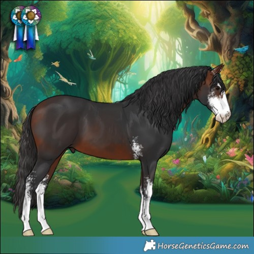 Horse Color:Bay Sabino 