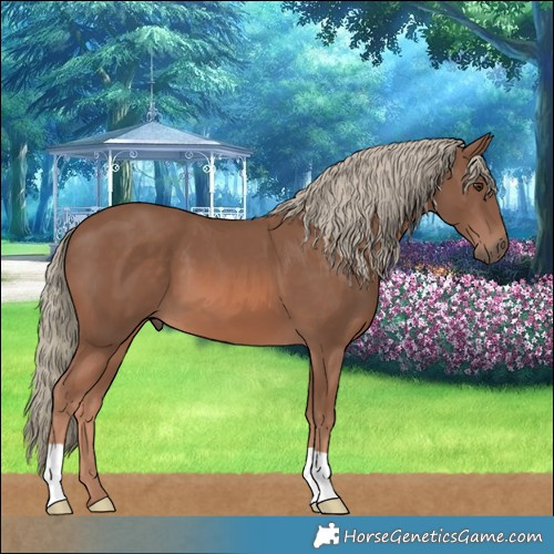 Horse Color:Chestnut Mushroom 