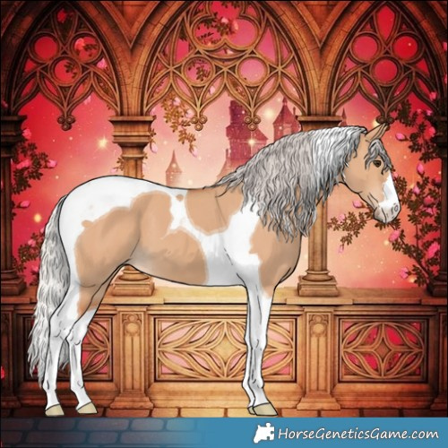 Horse Color:Silver Bay Dun Tobiano