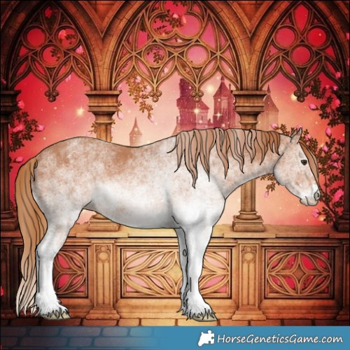 Horse Color:White Spotted Chestnut 
