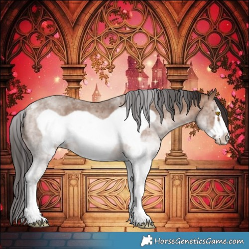Horse Color:White Spotted Sable Champagne Frame 