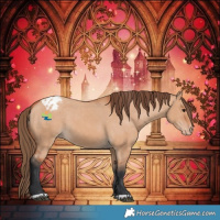 Horse Color:Bay Dun Varnish