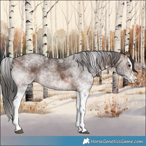 Horse Color:White Spotted Brown Splash 