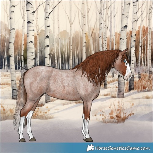 Horse Color:Red Roan Splash Varnish 