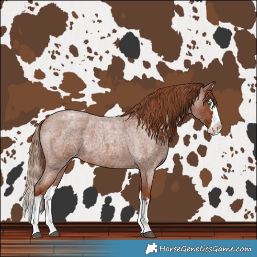 Horse Color:Red Roan Splash Varnish 