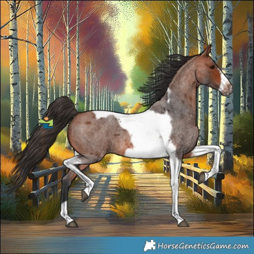 Horse Color:Bay Roan Tobiano Frame 